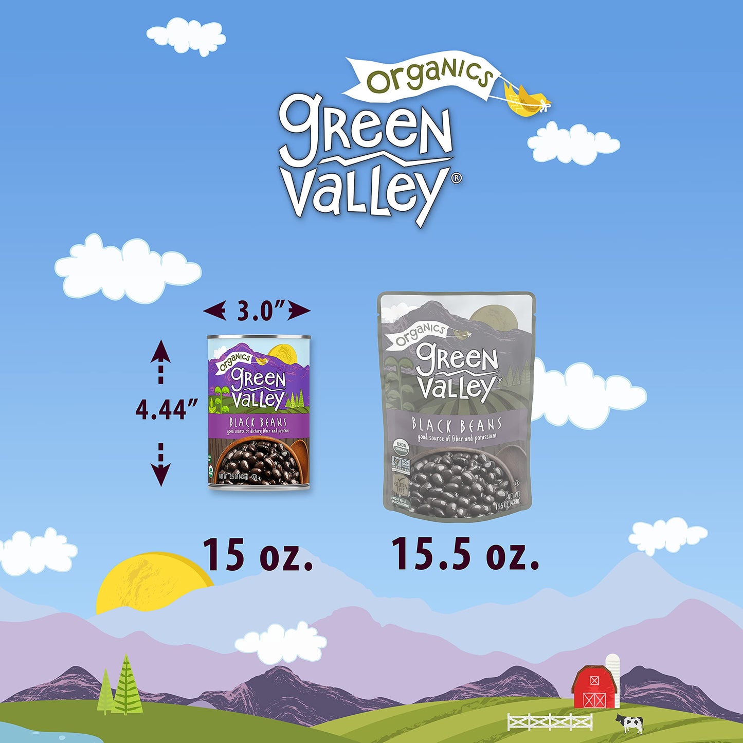 Green Valley Organics Black Beans | Certified Organic | Deliciously Tender, Creamy & Mild | Deep Dark Skin | Good Source Of Diet