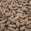 Barcelona Nut Inshell Peanuts Salted & Roasted - 5 Pounds - Deliciously Old Fashioned - USA Grown - Gluten Free - In Shell For H