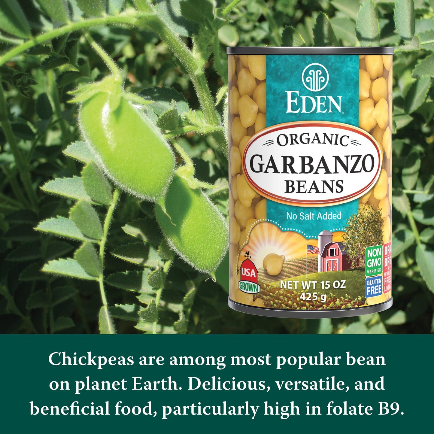 Eden Foods Garbanzos Beans Can (12X15 Oz)