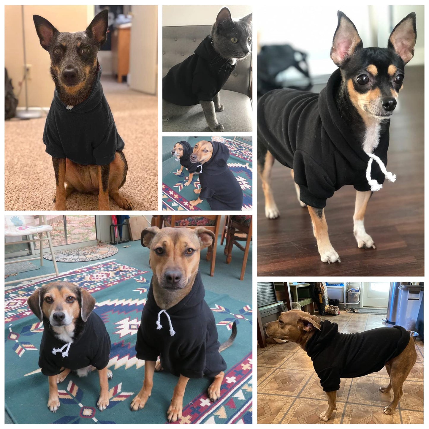 Bingpet Dog Hoodies-Fleece Lined-Hooded Pullover For Dog Cat In Cold Weather