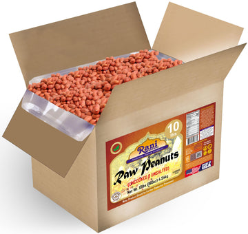 Rani Peanuts, Raw Whole With Skin (Uncooked, Unsalted) 10Lbs (160Oz) 4.54Kg Bulk Box ~ All Natural | Vegan | Gluten Friendly | Kosher | Fresh Product Of Usa ~ Spanish Grade Groundnut/Red-Skin