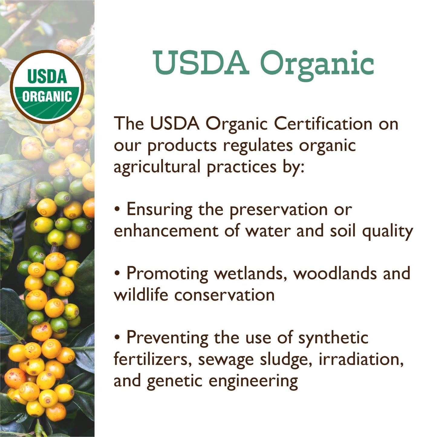 Fresh Roasted Coffee Organic Drago Café Blend, Medium Roast, 80 oz Ground, USDA Organic, Kosher