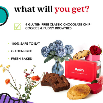 DAVIDS COOKIES Gluten-Free Cookie & Brownie Sampler Tin – Classic Chocolate Chip & Fudgy Brownies – Gourmet Bakery Gift