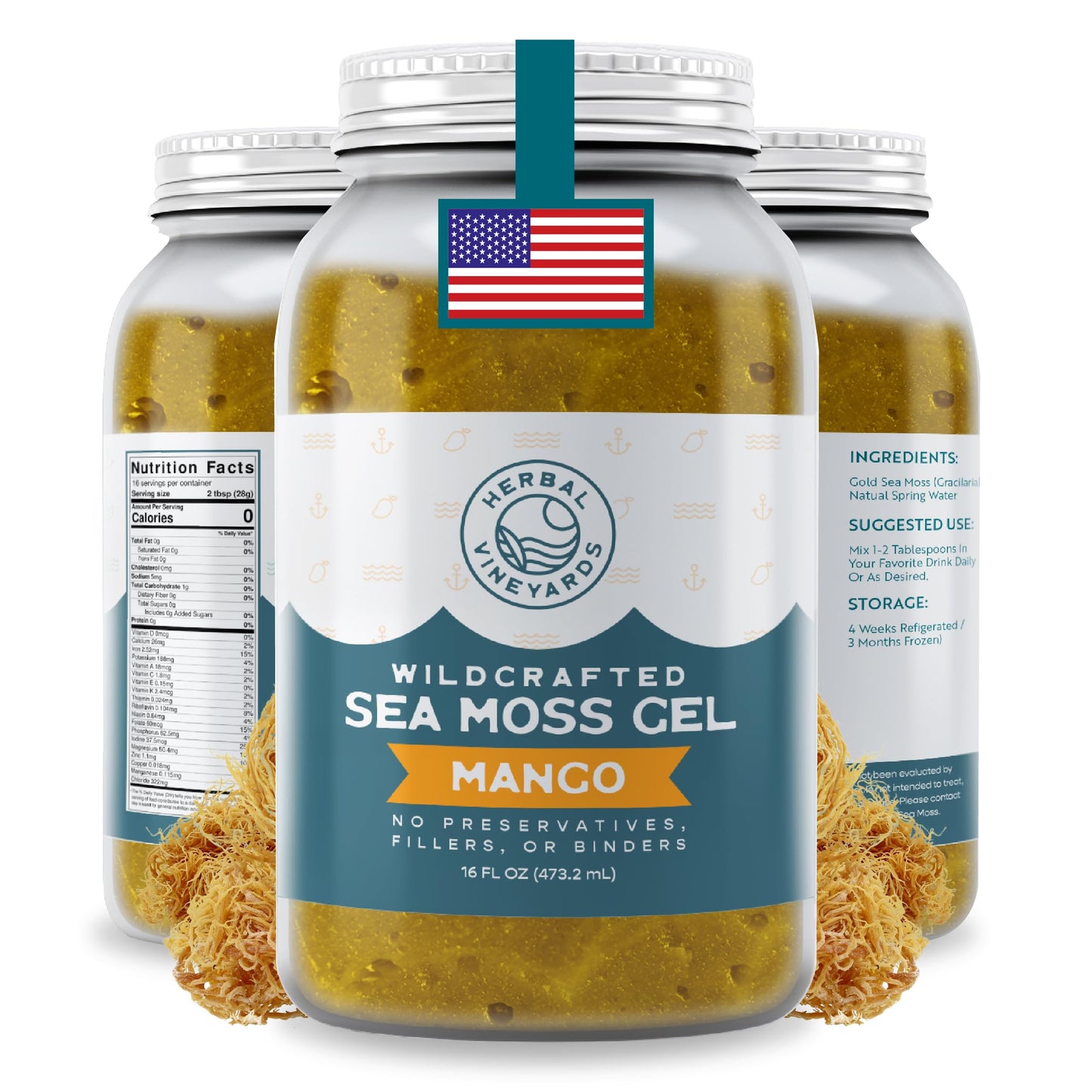 Herbal Vineyards Wildcrafted Irish Mango Sea Moss Gel 16 Oz - Organic Seamoss Gel Made with Dried Seaweed & Fresh Sea Vegetables