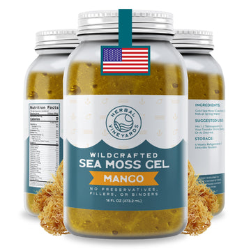 Herbal Vineyards Wildcrafted Irish Mango Sea Moss Gel 16 Oz - Organic Seamoss Gel Made with Dried Seaweed & Fresh Sea Vegetables