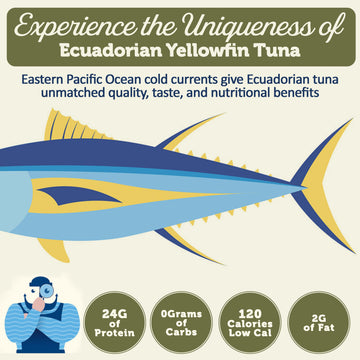 Onboard Premium Yellowfin Tuna In Olive Oil - 12 Pack Solid Light 5 Oz Cans Sustainably Wild Caught Canned Tuna, Non Gmo, Gluten