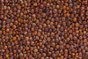 Fresh Red Quinoa By RawJoy | Organic Fresh Red Quinoa Beans, 35 Pound
