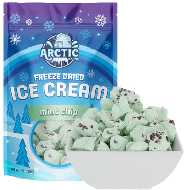 Arctic Farms Freeze Dried Ice Cream Bits Bagged and Boxed - Does Not Melt (Mint Chocolate Chip, 2.5oz)