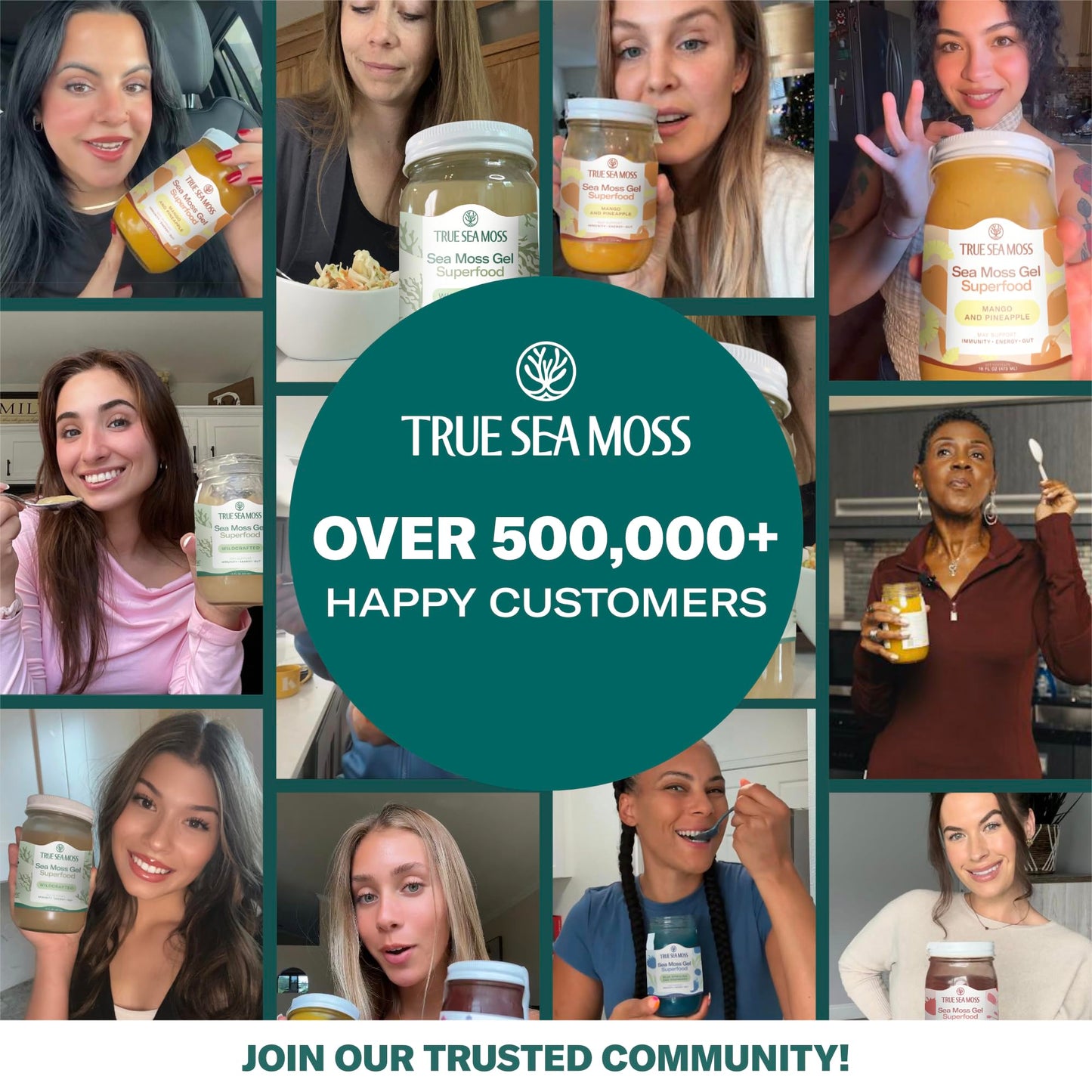 TrueSeaMoss Sea Moss Gel - Made in USA - Wildcrafted Seamoss Fruits & Jarred Vegetables - Soursop Pack of 2 (Labels may Vary)