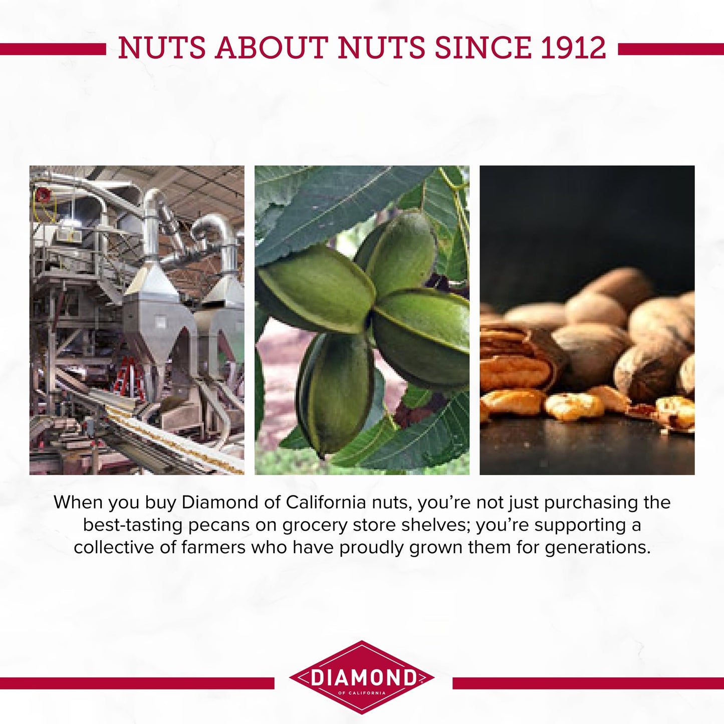 Diamond Of California Chopped Pecans For Baking, Snacking And Salads, 24 Oz. Total / 8 Oz. Each (3 Pack)