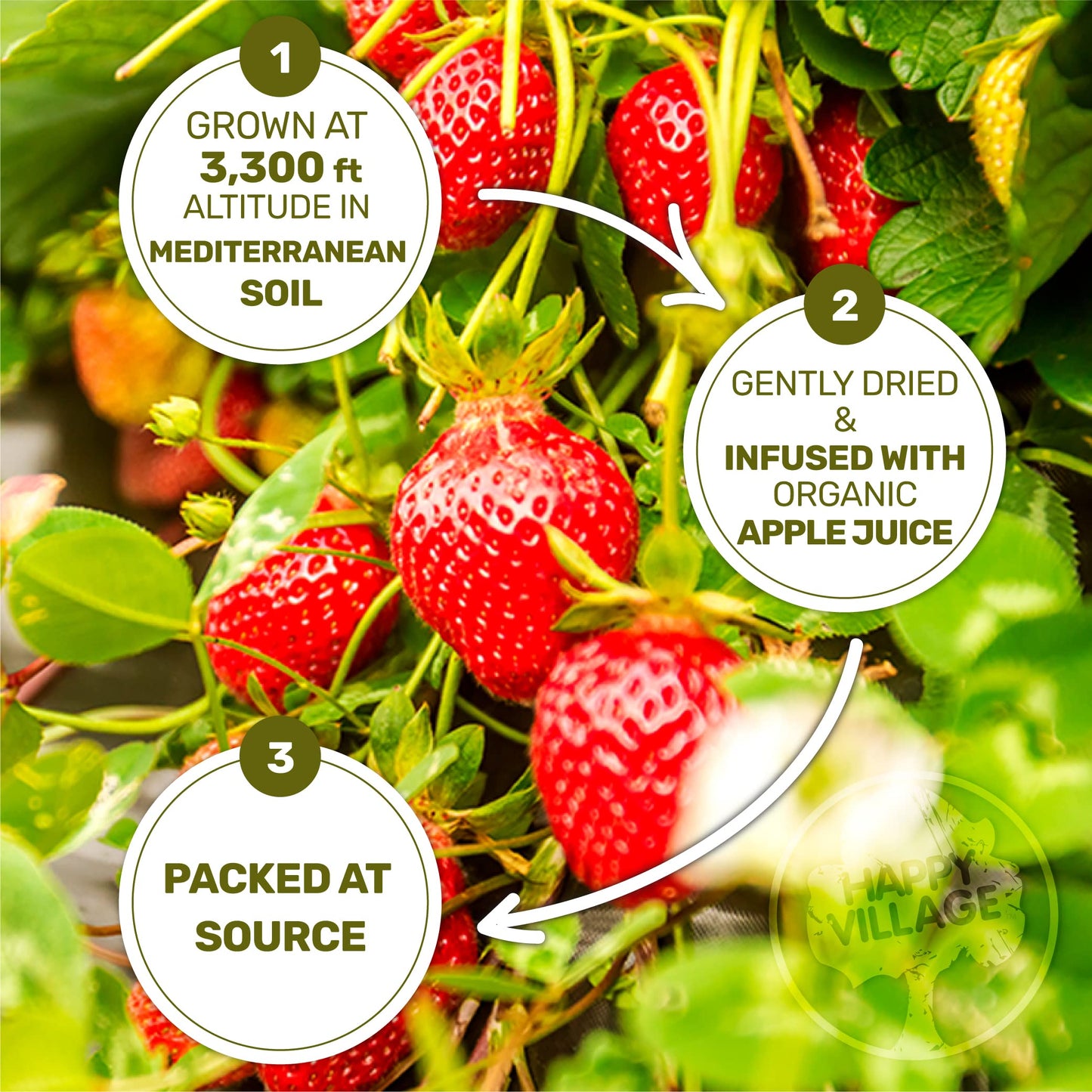 Happy Village Organic Soft Dried Strawberries On The Go - 3 Bags (15 Individual Portion Packs) | Healthy, Organic, Non-Gmo, Vega