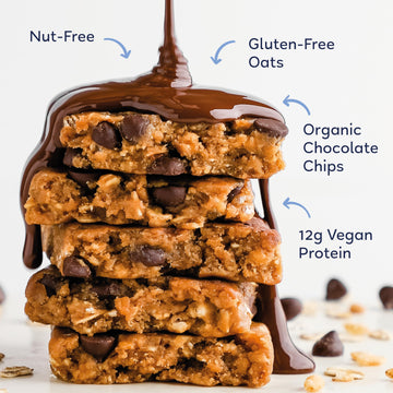 Gomacro Macrobar Organic Vegan Protein Bars - Oatmeal Chocolate Chip (2.3 Ounce Bars, 12 Count)