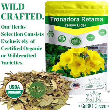 Gabio Green-Tronadora Retama, 16 Oz/ 1 Pound Gr Premium Quality Tronadora Tea, Resealeble Bag, Yellow Elder Herbs, Tronadora Hie