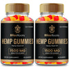 IDEAL PERFORMANCE Bliss Roots Hemp Gummies, Organic Hemp Extract, 2 Pack