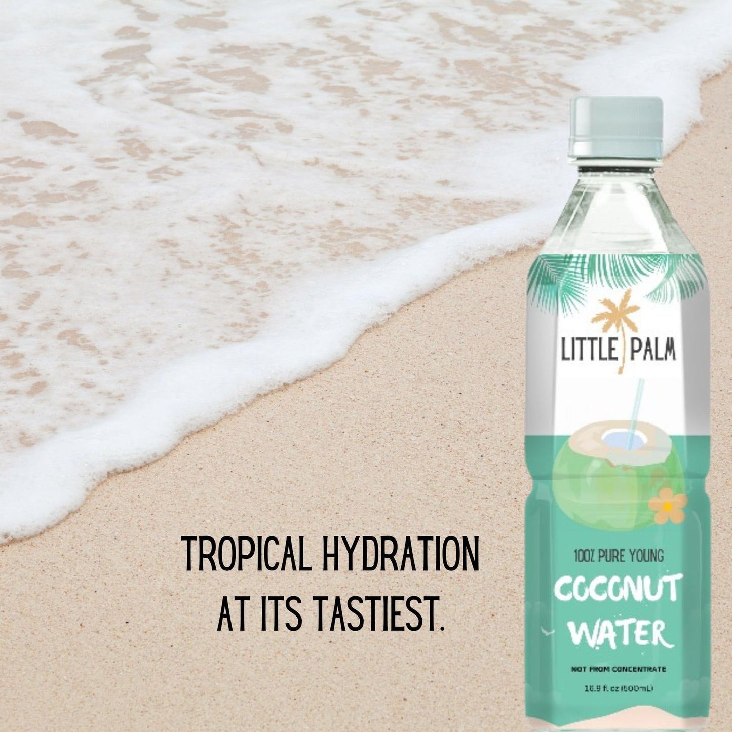 Little Palm Pure Coconut Water, No Sugar Added, Non-GMO, 16.9 fl oz (24-Pack)