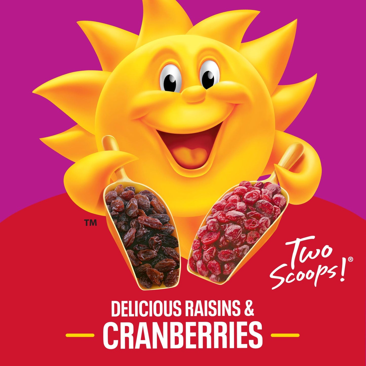 Kellogg'S Raisin Bran With Cranberries Breakfast Cereal, Fiber Cereal, Family Breakfast, 13.6Oz Box (1 Box)