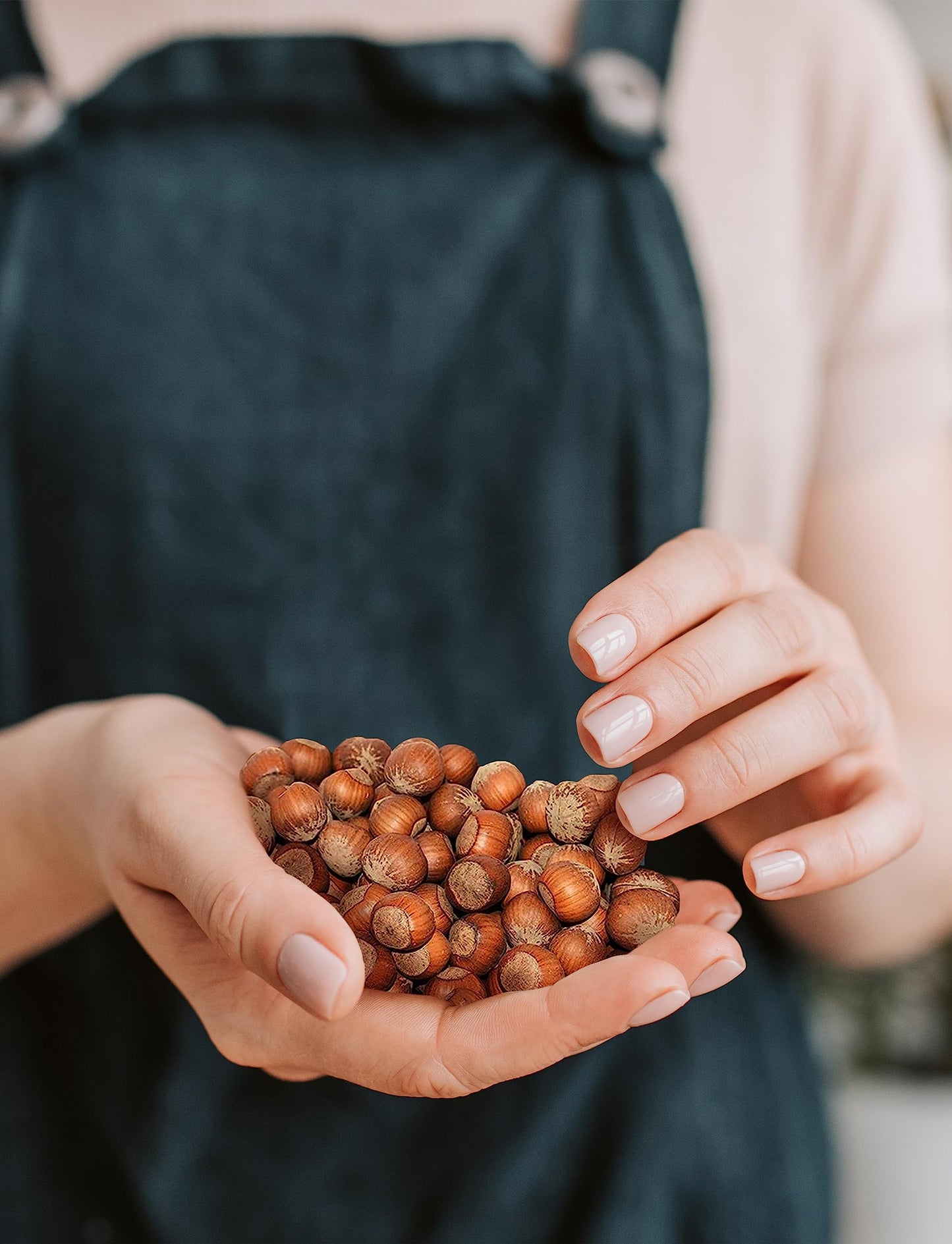 Anna And Sarah Large Oregon Hazelnuts In Shell, 5 Lbs