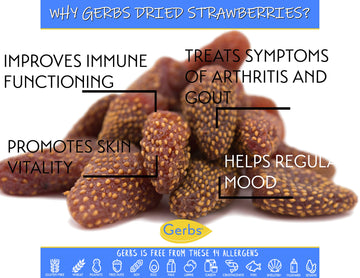 Gerbs Summer Sweet Strawberries 4 Lbs. | Freshly Dehydrated Resealable Bulk Bag | Top Food Allergy Free | Sulfur Dioxide Free Re