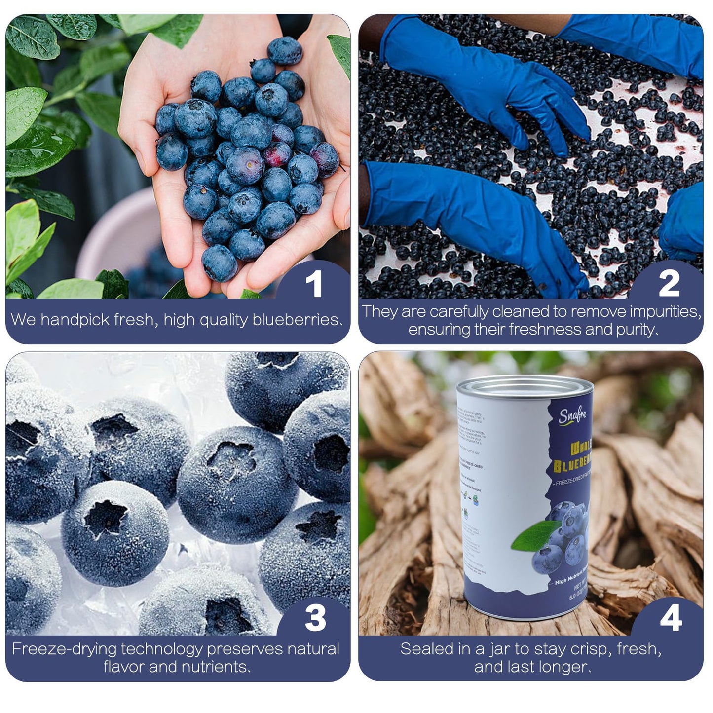 Freeze Dried Blueberries, 6Oz/170G Whole Frozen Blueberries, Freeze Dried Fruit No Added Sugar, Natural Snack, Jar Packaging Des