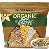 Organic Buckwheat Groats Bulk (2.8lb) - Whole Raw Buckwheat Hulled by Be Still Farms - Great for Cereal, Salad, Side Dish - High