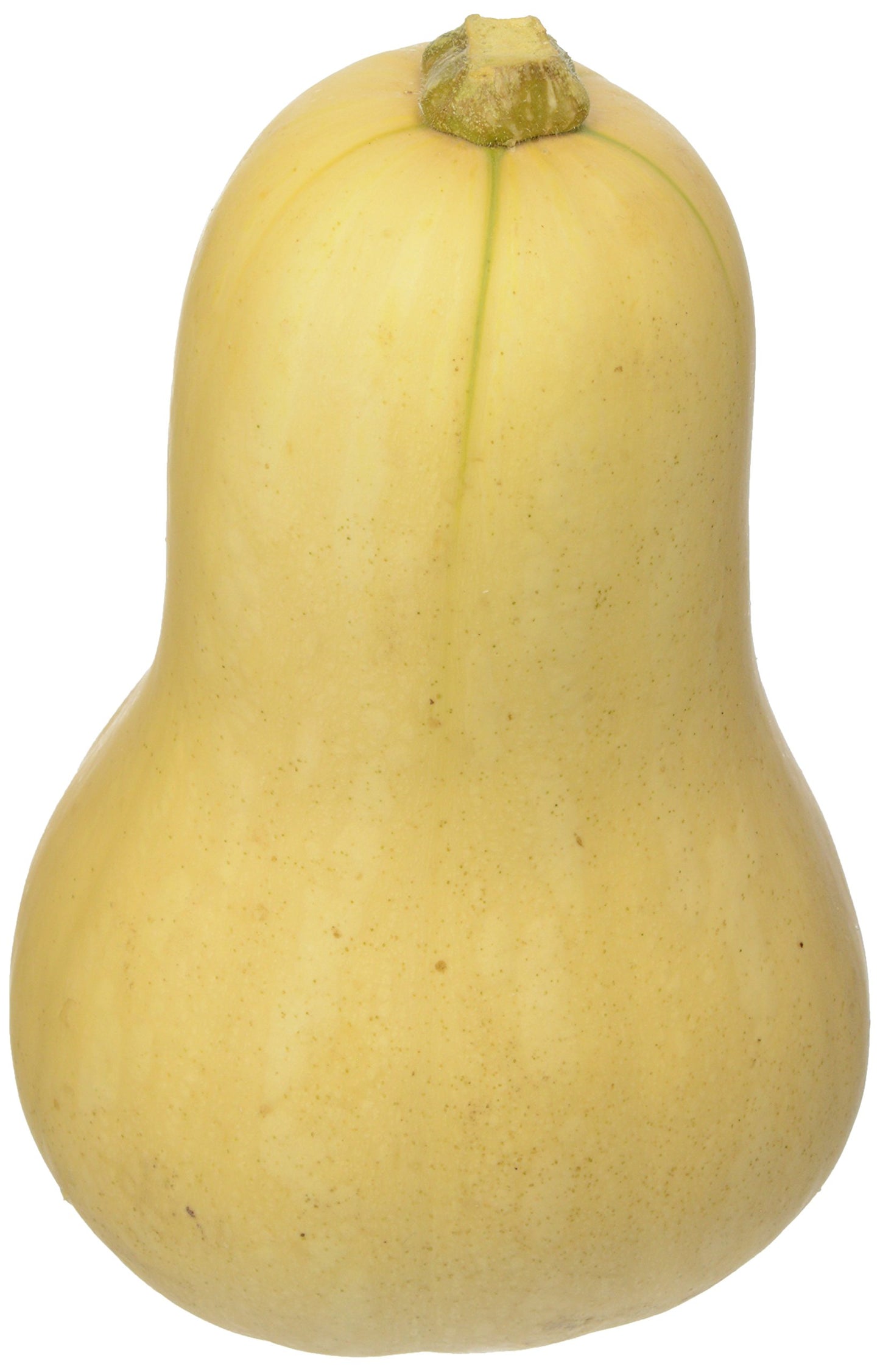Organic Butternut Squash, 1 Each