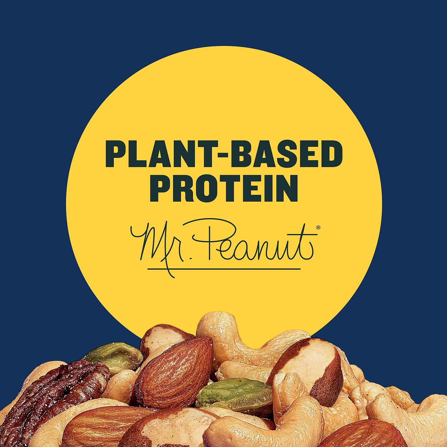 PLANTERS Deluxe Salted Mixed Nuts, Plant-Based Protein, 15.25 oz Canister