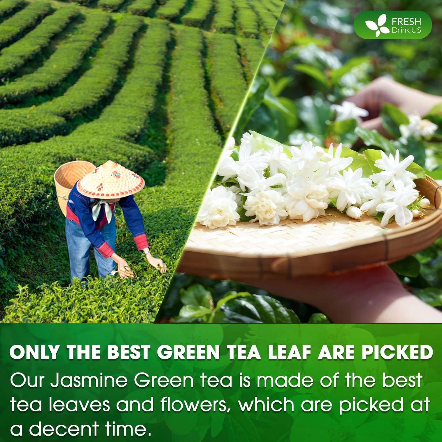 Freshdrinkus, Premium 135 Jasmine Green Tea Bags, 100% Natural & Pure From Jasmine Green Tea. Jasmine Green Herbal Tea. Made Wit