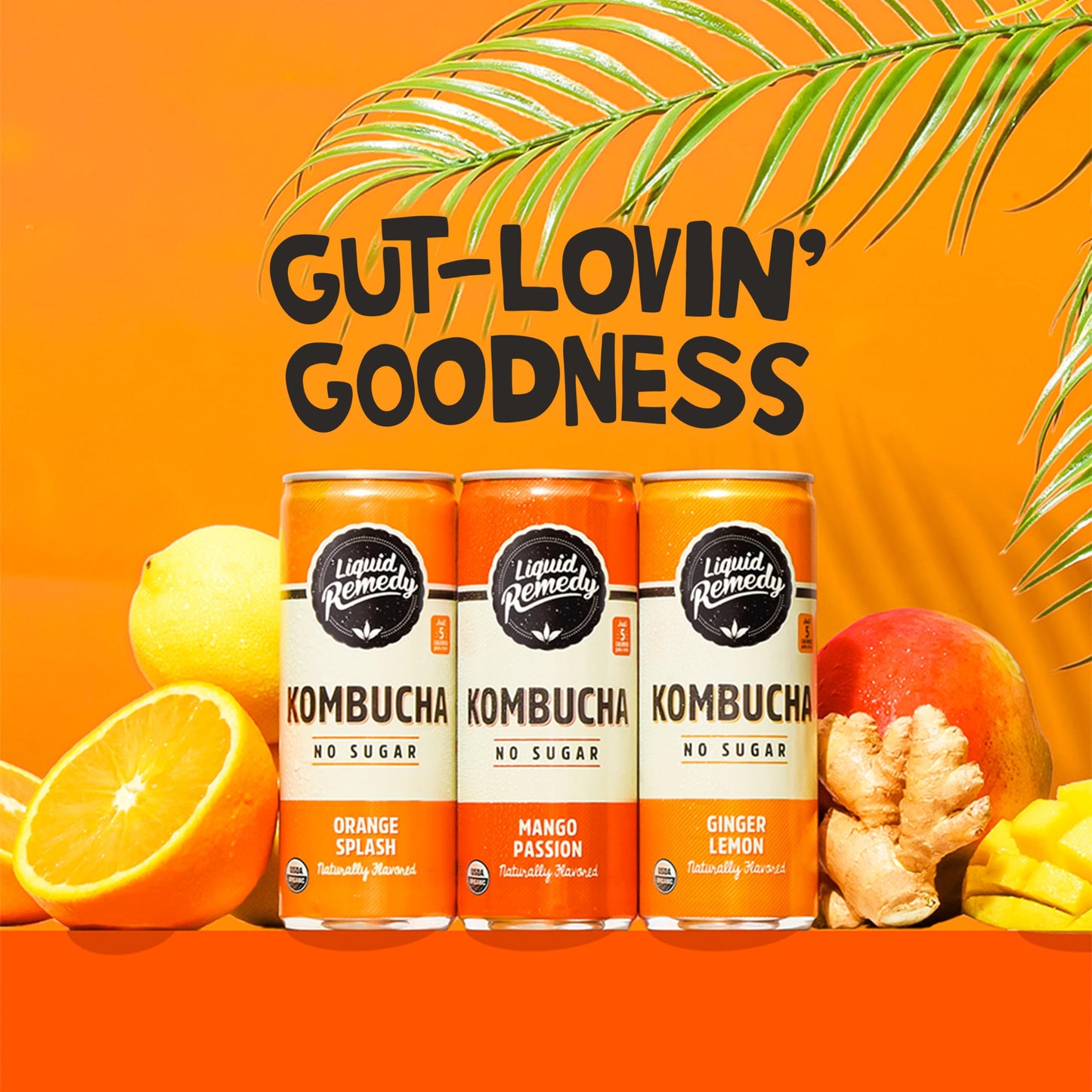 Liquid Remedy Kombucha Sugar Free Organic Drink, Low Calorie, Probiotic Like Tea For Gut Health - Tropical Trio Variety Pack- 8.