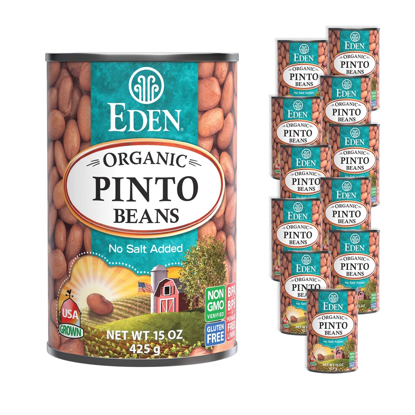 Eden Organic Pinto Beans, 15 Oz Can (12-Pack), No Salt Added, Non-Gmo, Gluten Free, Vegan, Kosher, U.S. Grown, Heat And Serve, Macrobiotic, Frijol Pinto
