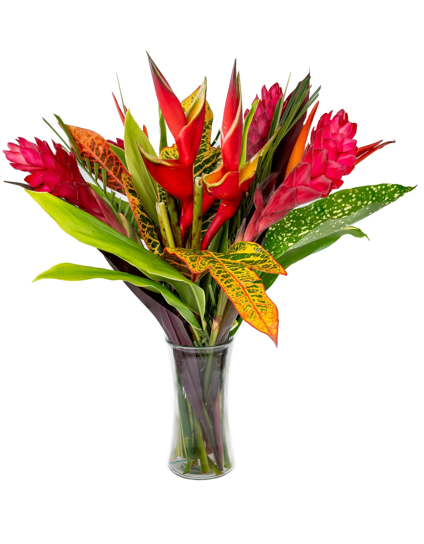 Fresh Orchids And Tropical Flower Bouquet Perfect For Birthdays Easter MotherS Day Anniversaries Gifts Etc. (Multicolor)