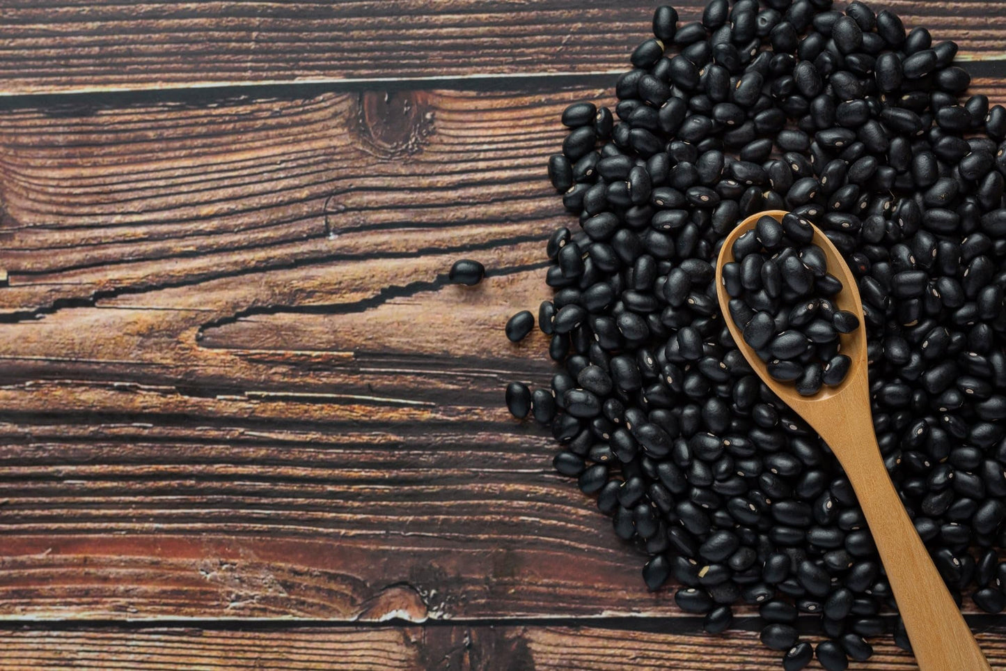 Food to Live Organic Black Beans, Non-GMO, Vegan, 5 Pounds, Bulk, Great Source of Plant-Based Protein and Fiber