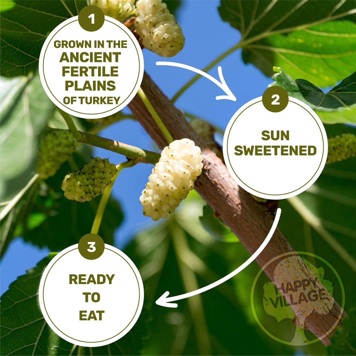 Happy Village Organic Dried Mulberries, Sun-Dried White Mulberry, 15 Oz (3 Packs Of 5 Oz) - No Added Sugar, Non-Gmo And Kosher C