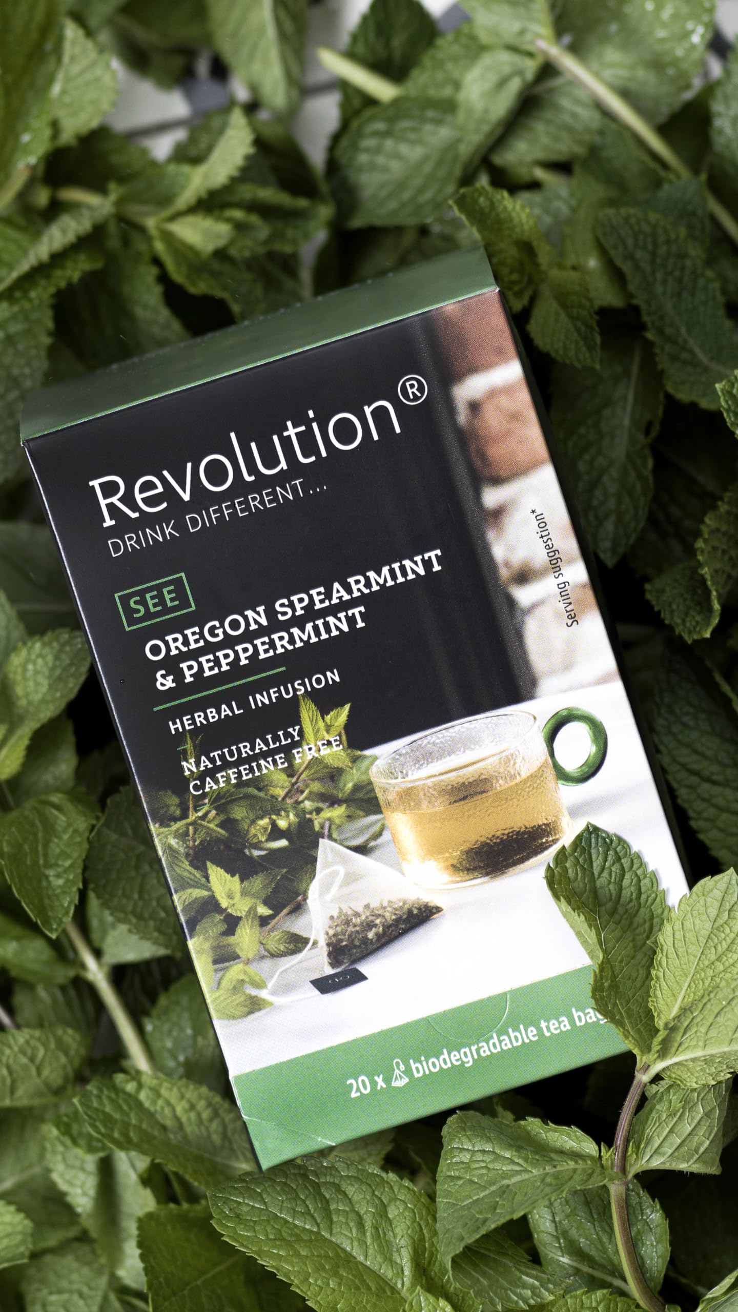 Revolution Tea Southern Mint Herbal Tea - Oregon Spearmint & Peppermint - Biodegradable Infuser Bags - 20 Count