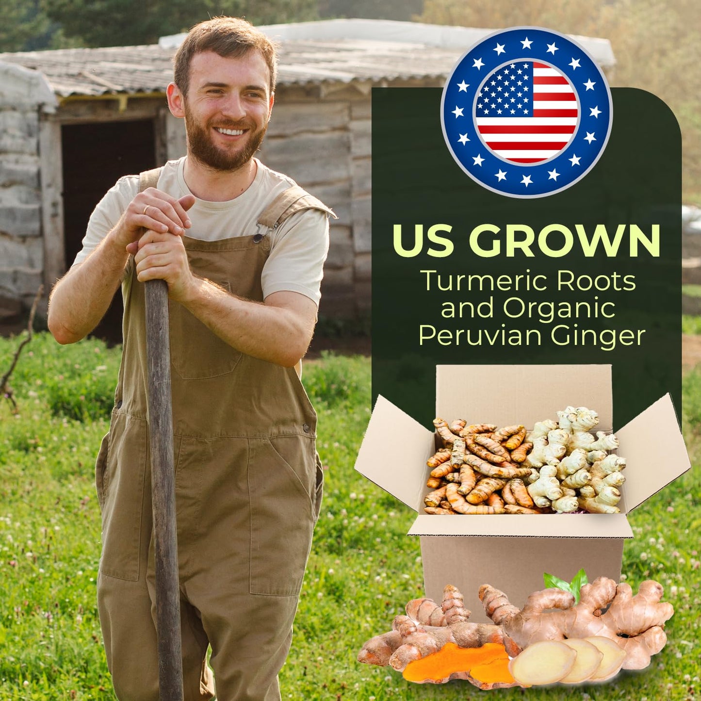 2 Lbs Us Grown (Not From Fiji!) Organic Turmeric Ginger Root Blend Box (1 Lb Us Grown Turmeric Fresh + 1 Lb Peruvian Ginger Fres