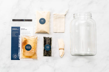 Kombucha Starter Kit - Organic Kombucha Scoby & Strong Starter Liquid. Make Delicious Kombucha At Home With Our Usa Made 1 Gallo