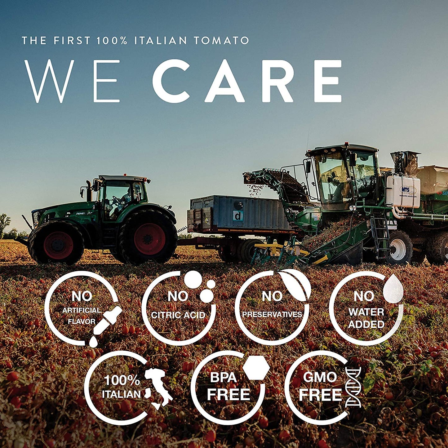 Pomi Strained Tomatoes 26.46 Oz