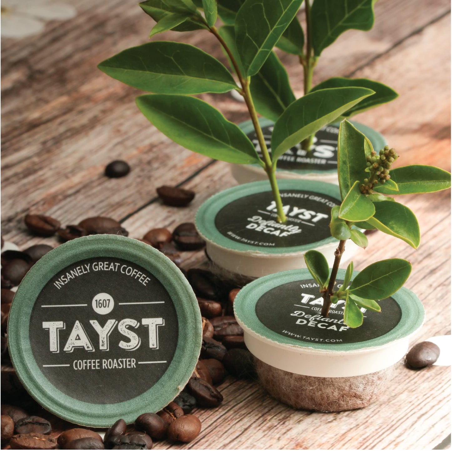 Tayst Coffee Pods, Medium & Heroic Medium Roast, K Cups Compatible With Keurig Coffee Maker, Sustainable Single Serve, Pack Of 1