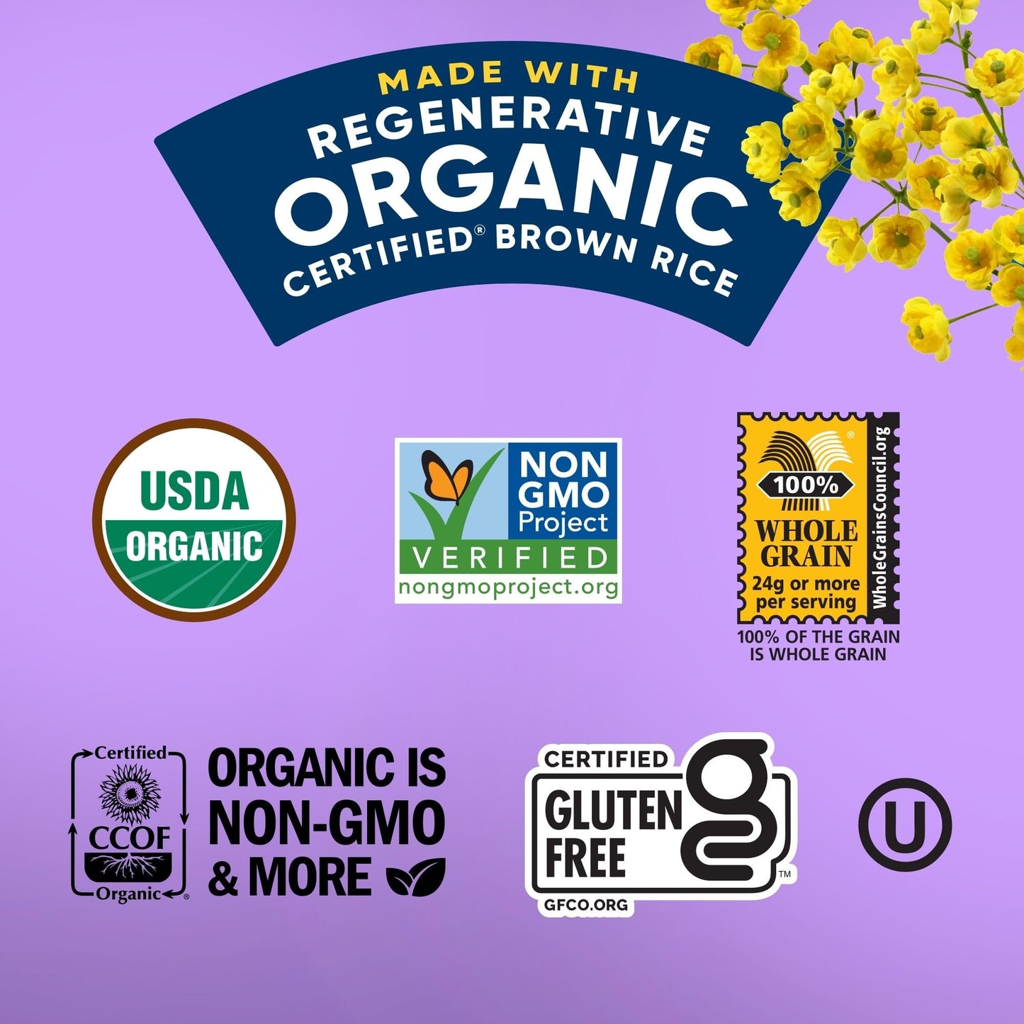 Lundberg Organic Apple Pie Rice Cake Minis Gluten-Free Whole Grain Usda Certified Non-Gmo Project Verified 5 Oz