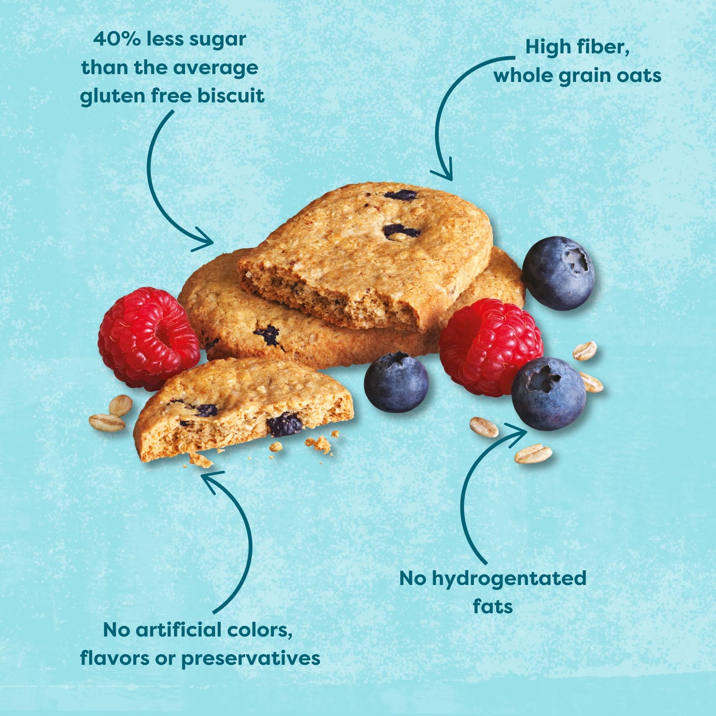 Nairns Gluten-Free Breakfast Biscuits, Blueberry & Raspberry, High Fiber, Non-GMO, 5.64oz