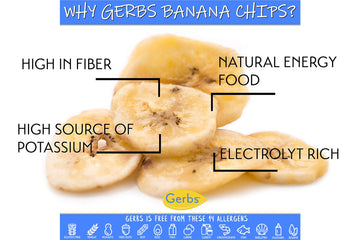 Gerbs Unsweetened Banana Chips 14 oz. | Unsulfured, No Additives, Resealable Bag | Naturally Crisp & Mildly Sweet | Top 14 Aller
