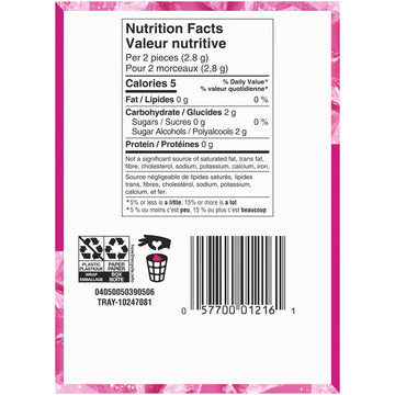 Dentyne Ice Arctic Bubble Gum - 12 Count (Pack of 12) - Pink