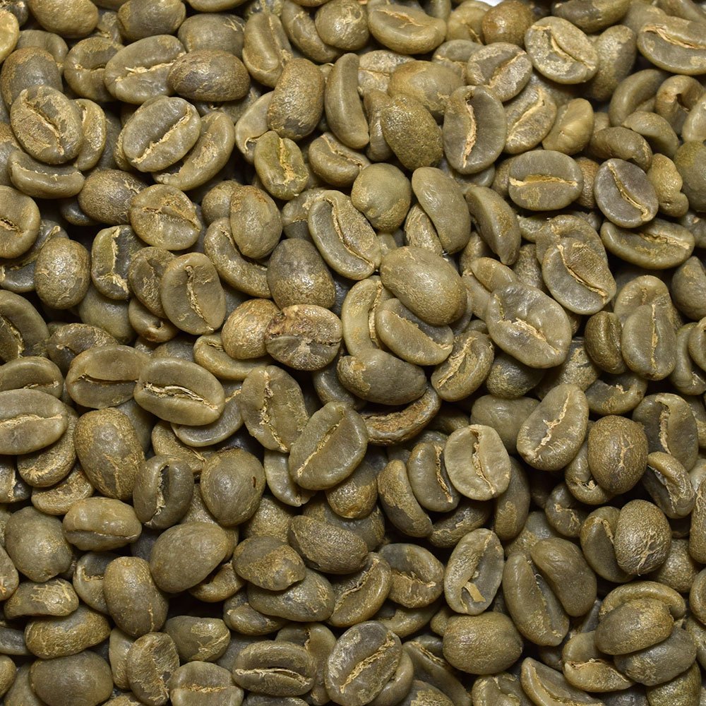 Fresh Roasted Coffee, Unroasted Organic Colombian, Fair Trade Kosher, 5 Pound