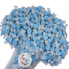 All Flavor Gourmet Saltwater Taffy (Blue Raspberry, 1 Lb)