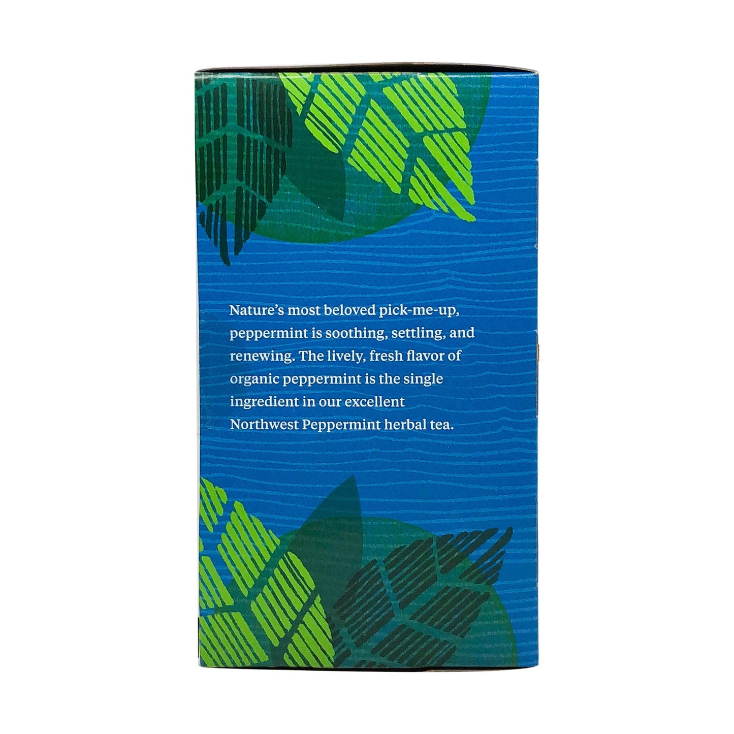 Allegro Organic Northwest Peppermint Tea Bags, 20 Count - Herbal, Caffeine-Free, Refreshing Flavor