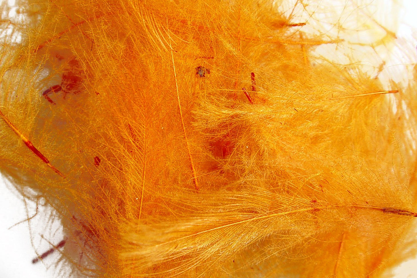 Cul De Canard (CDC) Feathers by Hareline Dubbin