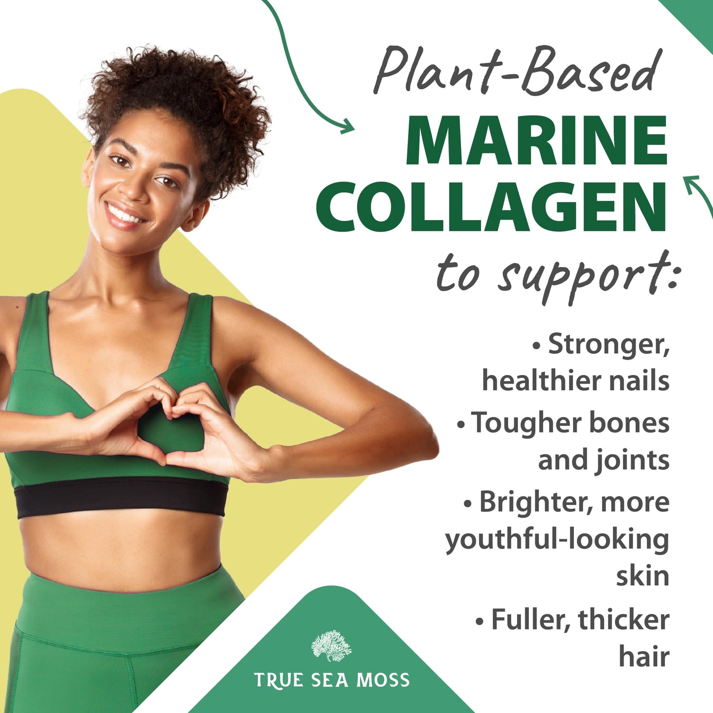 Sea Moss Raw By Trueseamoss (3 Pounds) - Wild Crafted Seamoss Raw - 100% Irish Sea Moss - Dried Sea Moss Advanced Drink - Clean