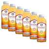 Gourmet Kitchn GT'S Organic & Unpasteurized Raw Kombucha Gingerade - Enzymes and Probiotics - The Perfect Palate Pleaser for New