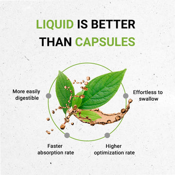 Secrets of the Tribe Fenugreek Tincture Liquid Extract, -Free, 2 Fl Oz