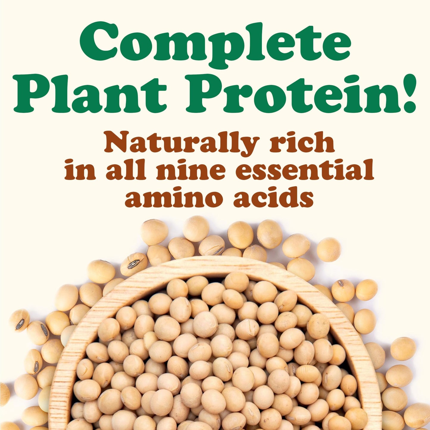 Food to Live Organic Soybeans, 12 Ounces - Dry Soy Beans, Pure and Natural, Nutritious Snack, High-Protein, Perfect for Soy Milk