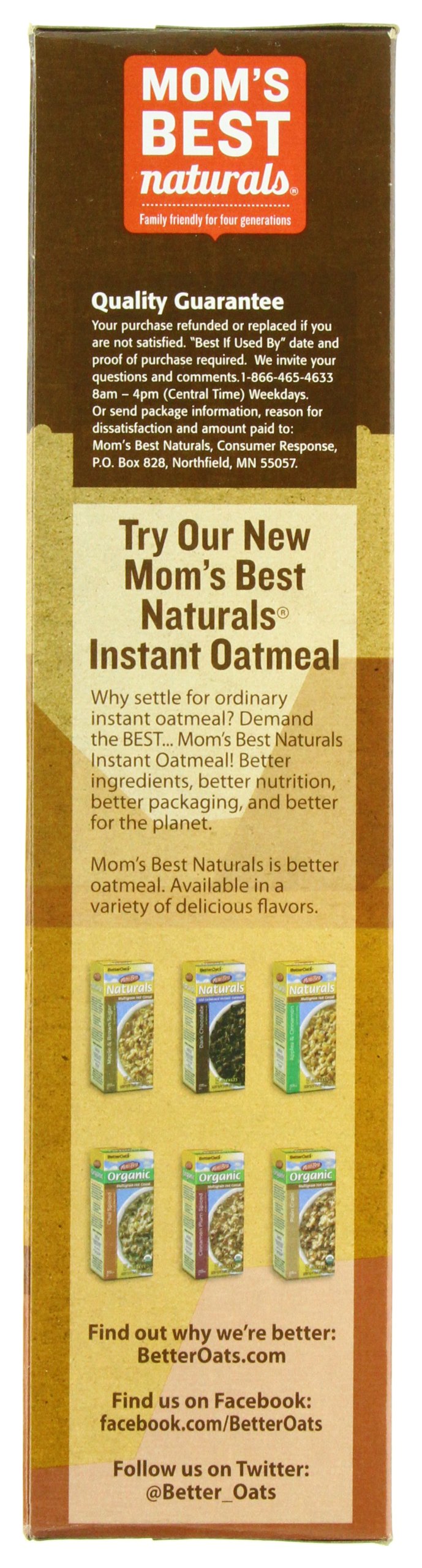 Moms Best Naturals, Toasted Cinnamon Squares, 17.5 Ounce